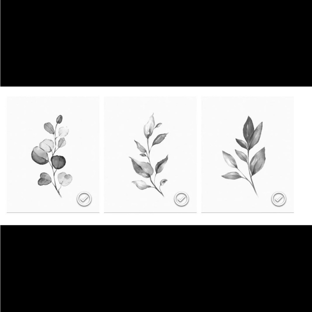 Set of Three Black and White Botanical Prints, 16x20